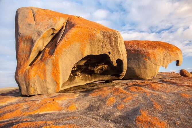 Kangaroo Island Luxury Small Group 'Flinders Chase Focus' Full Day Tour - The Picnic Lunch: A True Wilderness Experience
