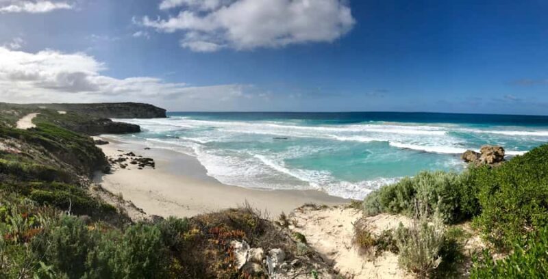 Kangaroo Island: Scenic, Nature & Wildlife Tour - What You Can Expect: A Breakdown of the Day