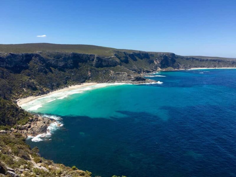 Kangaroo Island: Scenic, Nature & Wildlife Tour - Price and Value: Is It Worth It?