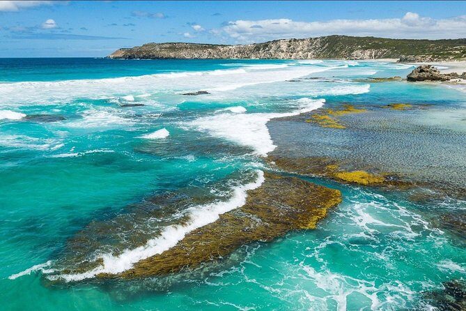 Kangaroo Island Shore Excursion Tasting Tour - For Cruise Ship Passengers Only - Evaluating the Value