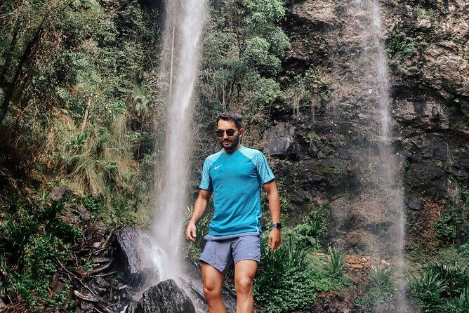Kangaroos, 6 Springbrook Waterfalls and Natural Bridge Day Tour - Who Should Consider This Tour?