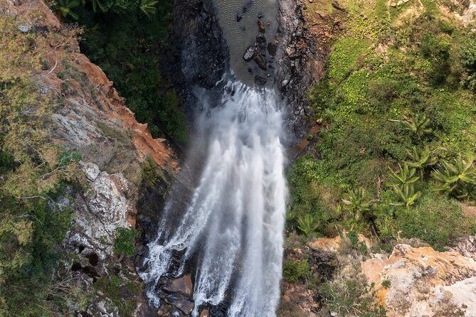 Kangaroos, 6 Springbrook Waterfalls and Natural Bridge Day Tour - FAQs