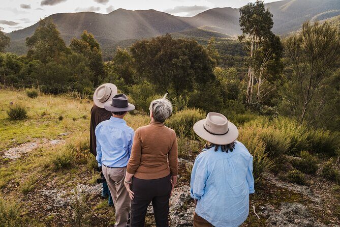 Kangaroos and Koala Experience Tour - Who Will Love This Tour?