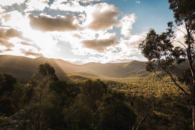 Kangaroos and Koala Experience Tour - Final Thoughts