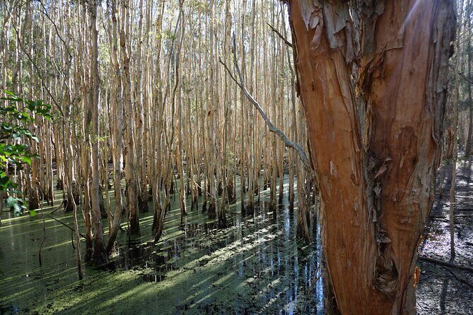 Kangaroos & Koalas in the Wild - Private Nature Experience - Frequently Asked Questions