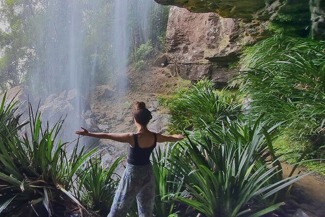 Kangaroos, Rainforest & Waterfalls Experience - Small Group - A Closer Look at the Itinerary