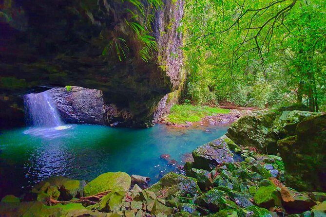 Kangaroos, Rainforest & Waterfalls Experience - Small Group - The Experience in Context