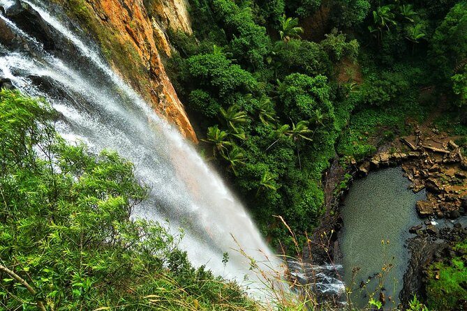 Kangaroos, Rainforest & Waterfalls Experience - Small Group - The Sum Up