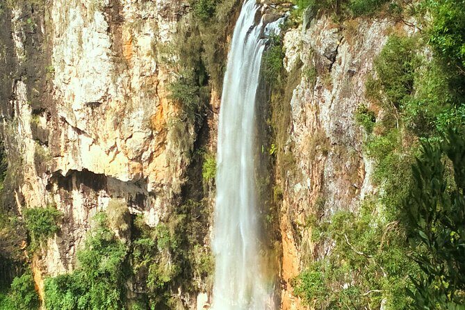 Kangaroos, Rainforest & Waterfalls Experience - Small Group - FAQs