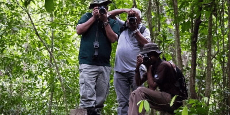 "Kanneliya Forest Discovery: Guided Nature Expedition" - Key Points