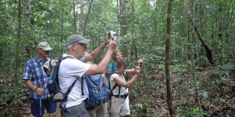 "Kanneliya Forest Discovery: Guided Nature Expedition" - Exploring the Kanneliya Rainforest