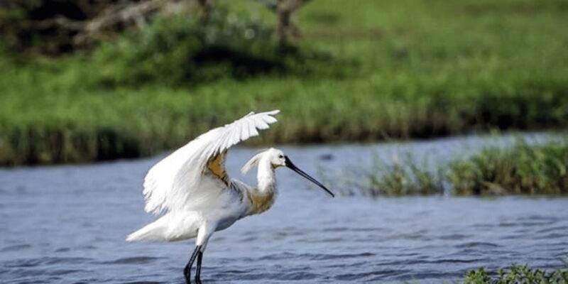 "Kanneliya Forest Discovery: Guided Nature Expedition" - What the Guides Bring to the Experience