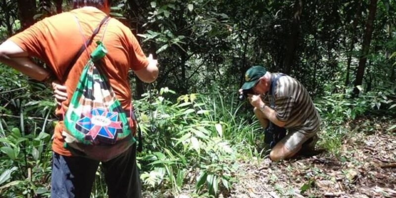 "Kanneliya Forest Discovery: Guided Nature Expedition" - The Value of This Tour