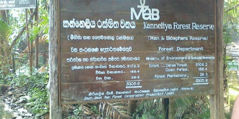 "Kanneliya Forest Discovery: Guided Nature Expedition" - Practical Tips for Visitors