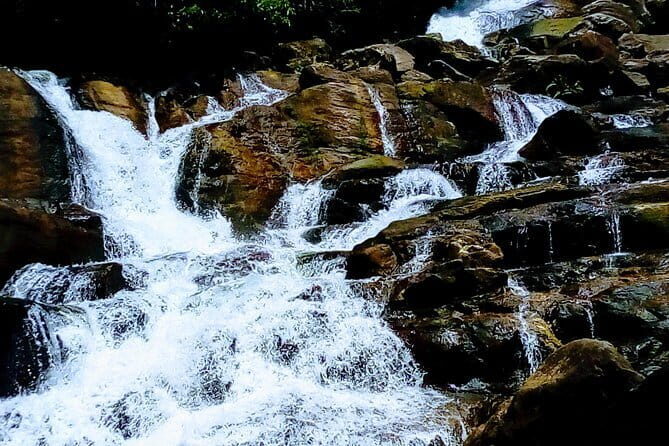 Kanneliya Rain Forest Tour - The Heart of the Experience: Exploring Kanneliya Rainforest