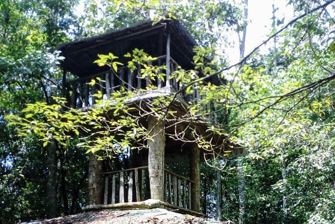 Kanneliya Rain Forest Tour - The Itinerary: A Day in the Forest and Beyond