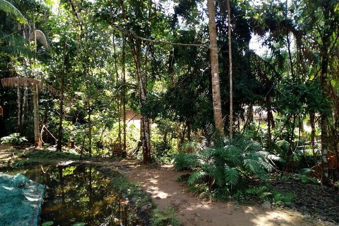 Kanneliya Rain Forest Tour - Practical Considerations