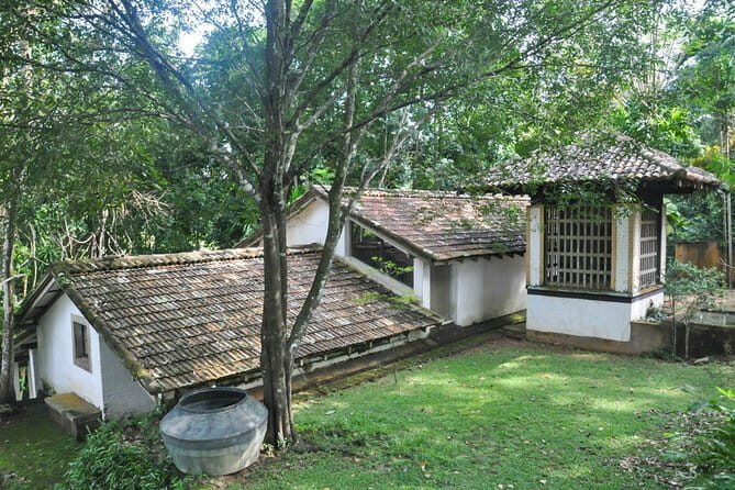 Kanneliya Rain Forest Tour - Final Thoughts