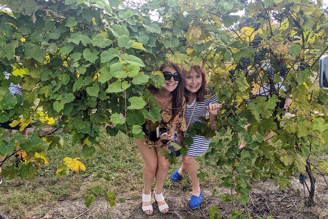 Kansas City Brewery, Winery, and Distillery Tour - Who Will Love This Tour?