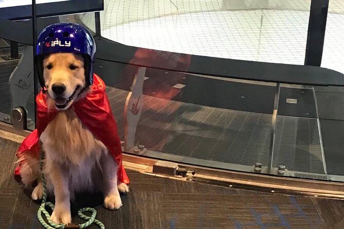 Kansas City Indoor Skydiving Admission with 2 Flights & Personalized Certificate - FAQ