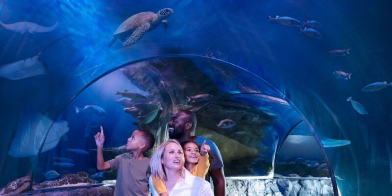 Kansas City: SEA LIFE Kansas City Aquarium General Admission - Key Points