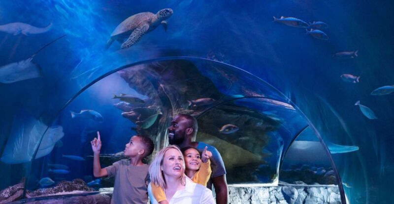 Kansas City: SEA LIFE Kansas City Aquarium General Admission - Practical Tips for Visiting