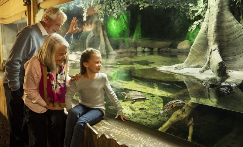 Kansas City: SEA LIFE Kansas City Aquarium General Admission - Who Will Appreciate This Experience?