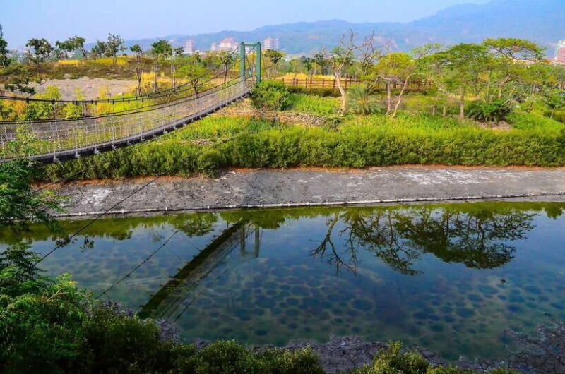 Kaohsiung: Private Walking Tour with a Local - Authentic Experiences Reported by Travelers