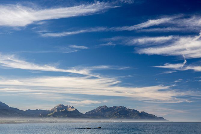 Kapiti Coast and Foxton Area Beaches Day Tour - An In-Depth Look at the Kapiti Coast and Foxton Beaches Tour