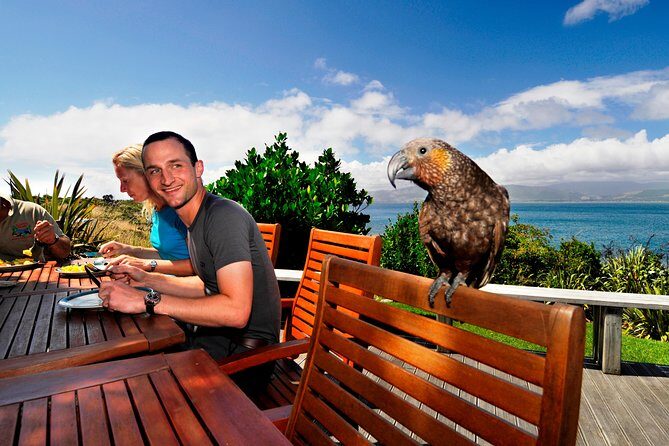 Kapiti Island Classic Guided Day Tour - Exploring the Kapiti Island Classic Guided Day Tour