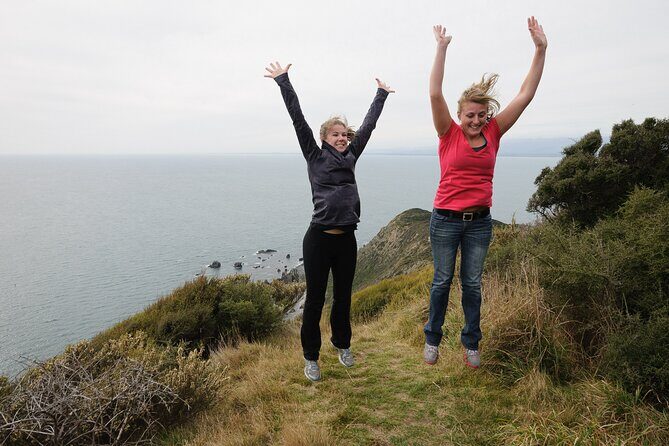 Kapiti Island Classic Guided Day Tour - Who Will Love This Tour?