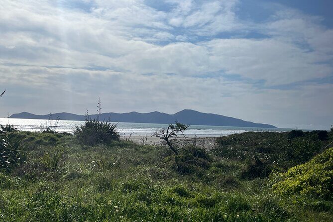 Kapiti Private Tour in Tesla SUV - FAQ