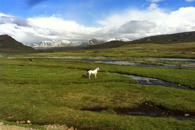 Karakorum Highway (Old Silk Route) Trip -12 Days - Authentic Experiences and Guest Feedback