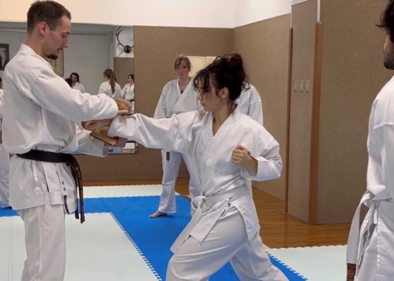 Karate Experience with the Shotokan Karate-do Instructor - An In-depth Look at the Karate Experience in Tokyo