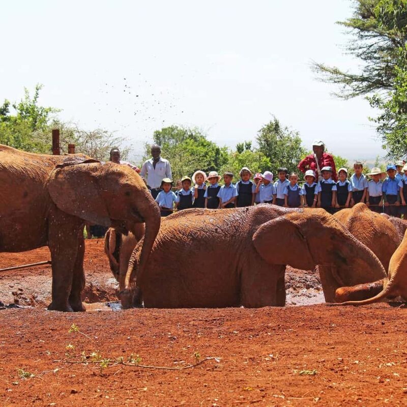 Karen Blixen Museum, Elephant Orphanage and Giraffe Center - Frequently Asked Questions