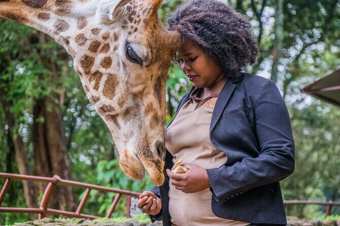 Karen Blixen Museum & Giraffe Centre Half day tour - Authentic Reviews from Fellow Travelers