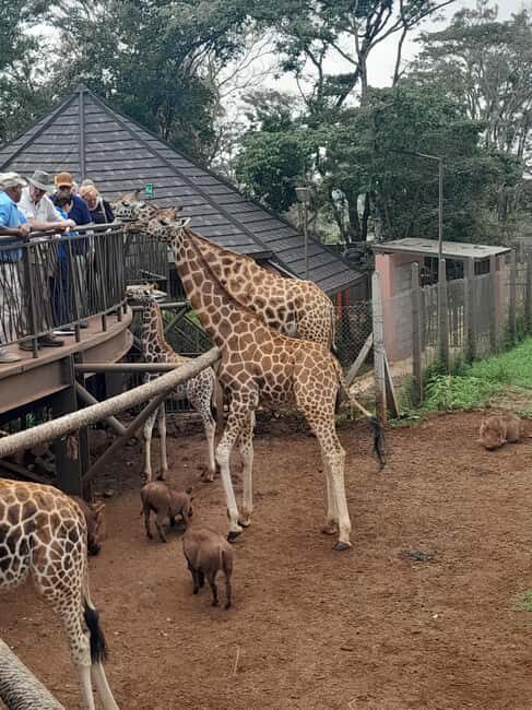 Karen Blixen museum, Kobe beads and Giraffe center - Practical Details and Tips