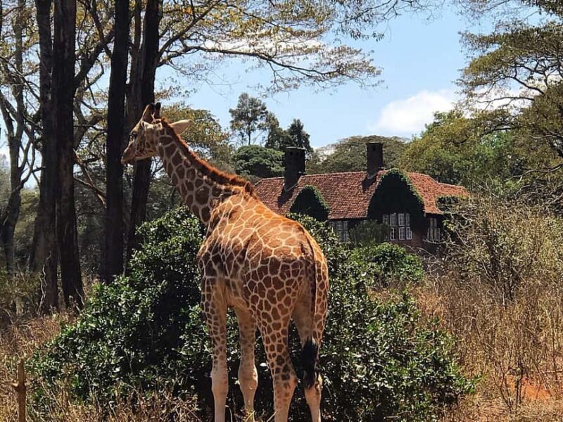 Karen Blixen museum, Kobe beads and Giraffe center - Final Thoughts