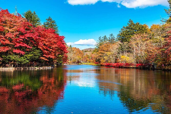 Karuizawa, Kawagoe and Hashino Resort Shrine Day Tour from Tokyo - A Practical Look at the Karuizawa, Kawagoe, and Hashino Resort Shrine Day Tour from Tokyo