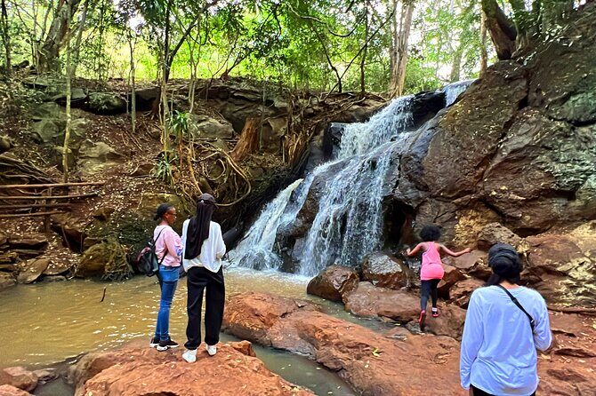 Karura Forest Nature Trail - The Experience: What to Expect from the Karura Forest Nature Trail Tour