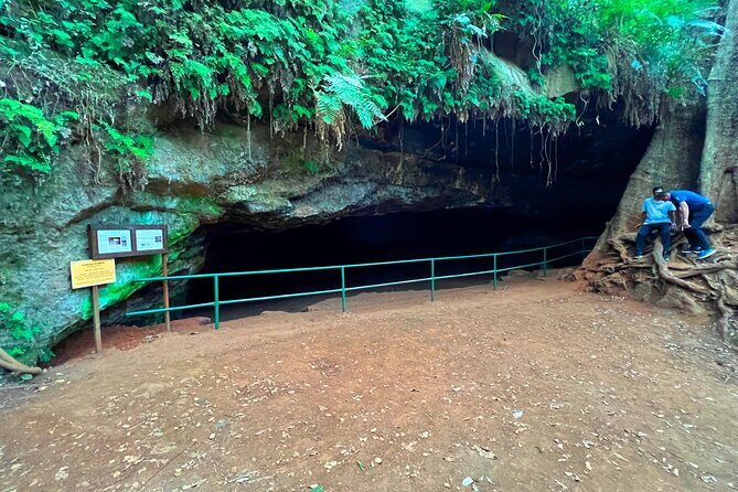 Karura Forest Nature Trail - Is This Tour Worth It?