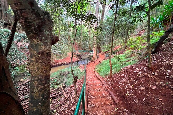 Karura Forest Nature Trail - Who Should Consider This Experience?