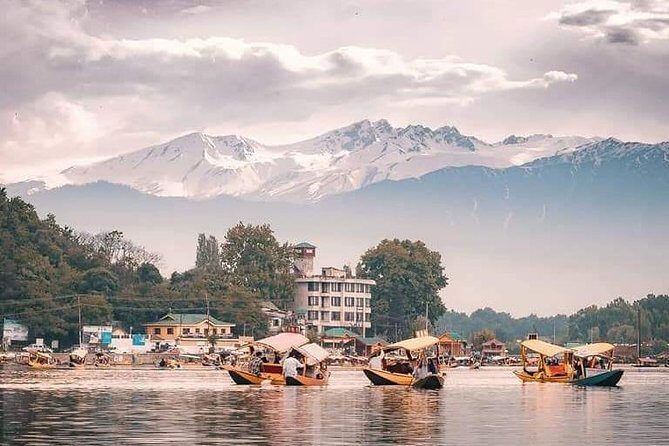 Kashmir Family Tour - 07 Days Includes Accommodation and Private Transport - Analyzing the Value