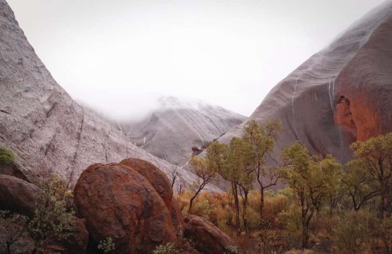 Kata Tjuta Private Guided Sunrise Tour - What to Expect and Practical Details