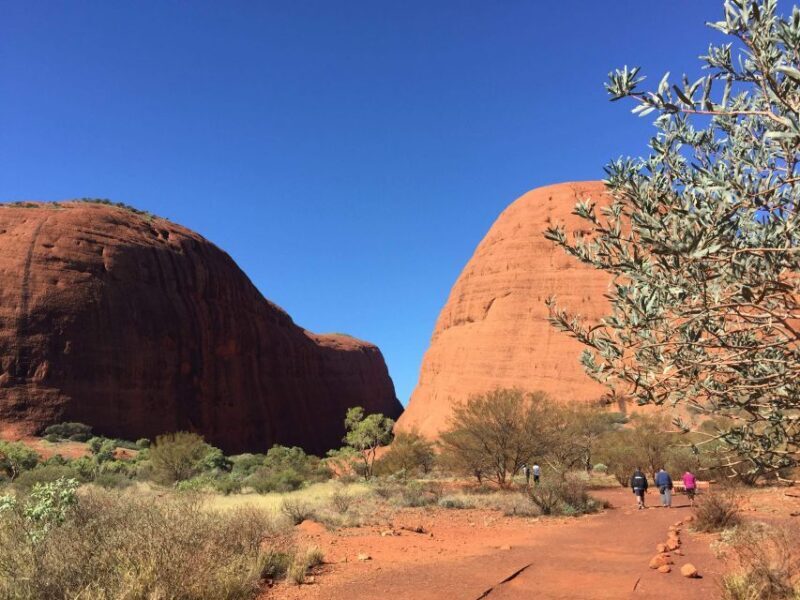 Kata Tjuta: Small Group Sunrise Tour with Picnic Breakfast - Who Should Consider This Tour?