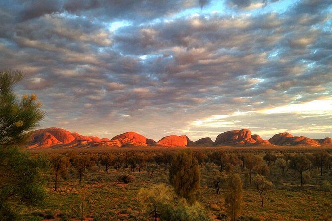 Kata Tjuta Small-Group Tour Including Sunrise and Breakfast - An In-Depth Look at the Tour Experience