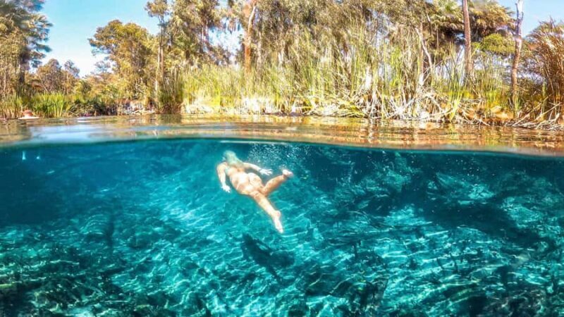 Katherine Gorge - Mataranka - Edith Falls - Adelaide River - Final Thoughts