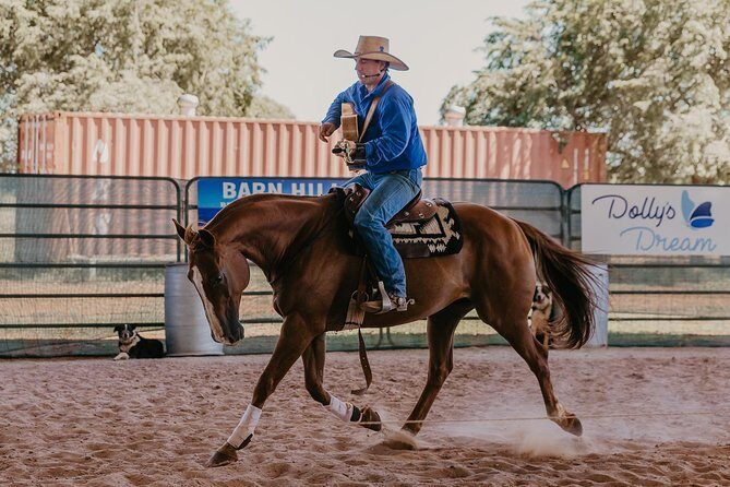 Katherine Outback Experience Show Ticket - An Authentic Glimpse of Outback Life