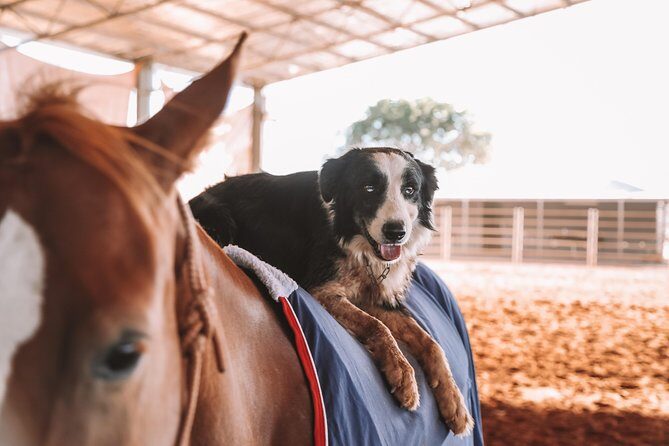 Katherine Outback Experience Show Ticket - Practical Details