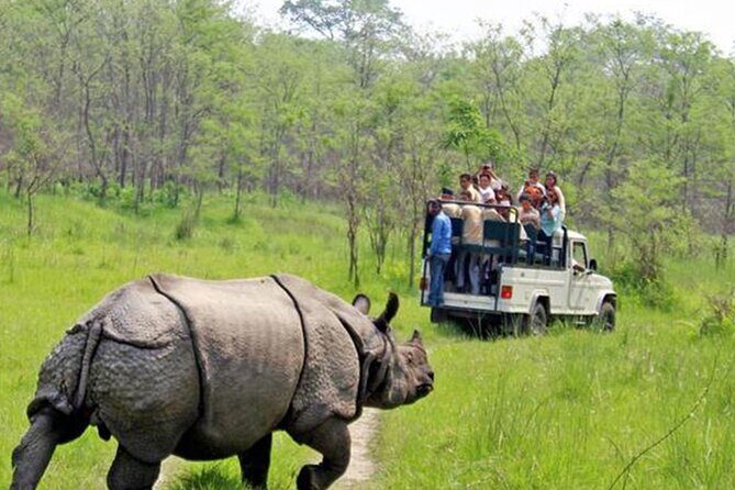 Kathmandu 2 Nights 3 Days Chitwan Jungle Safari Tour - Key Points